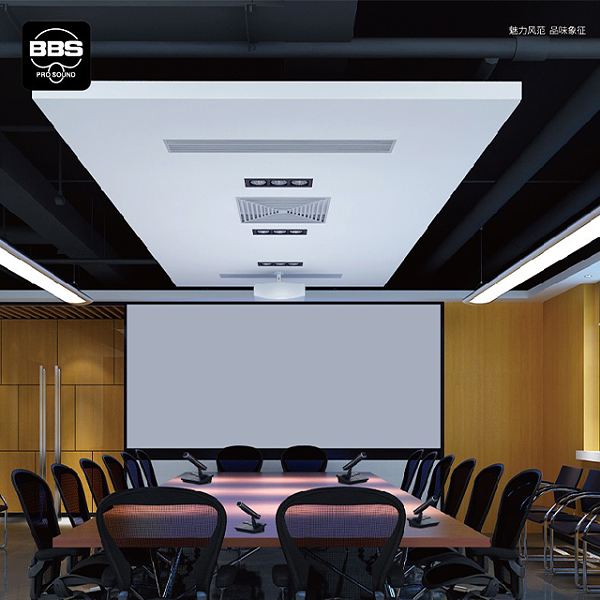 BBS WT-1000會(huì)議話筒有線手拉手會(huì)議系統(tǒng)會(huì)議講課主持商用學(xué)校 WT-1000主機(jī)