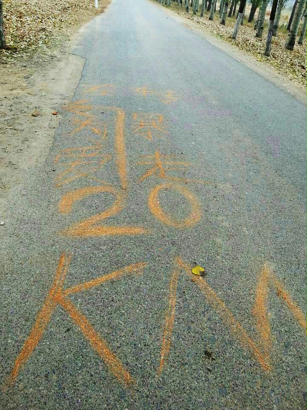 以愛之名，貼地疾行