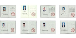 項目技術(shù)工程師