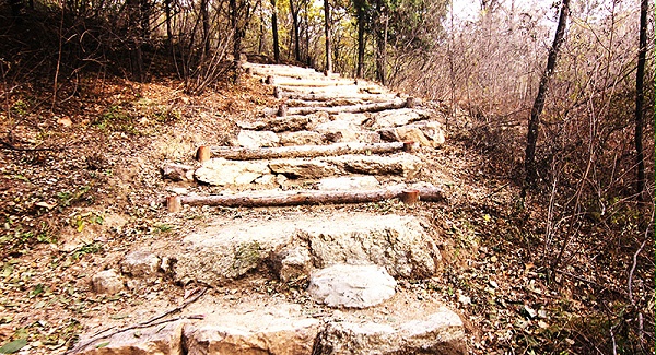 以愛之名，貼地疾行