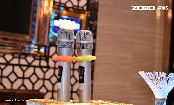 重慶紫緣娛樂會娛樂擴聲項目4