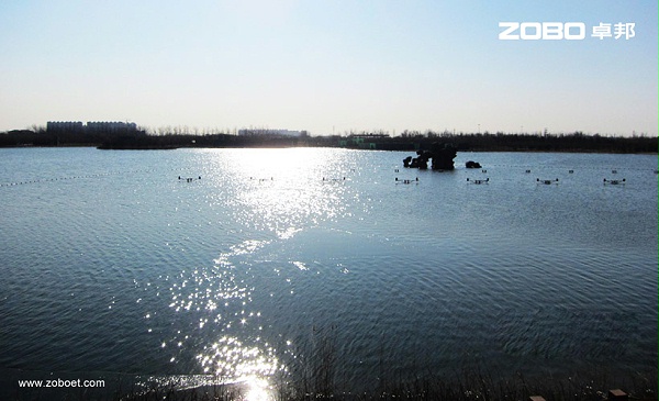 北京南海子公園音樂廣播擴聲系統(tǒng)