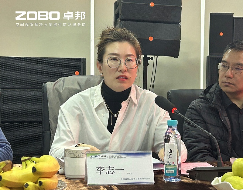 共筑智控新生態(tài) | 2025音視頻聲光電技術(shù)與市場拓展研討會在ZOBO卓邦召開