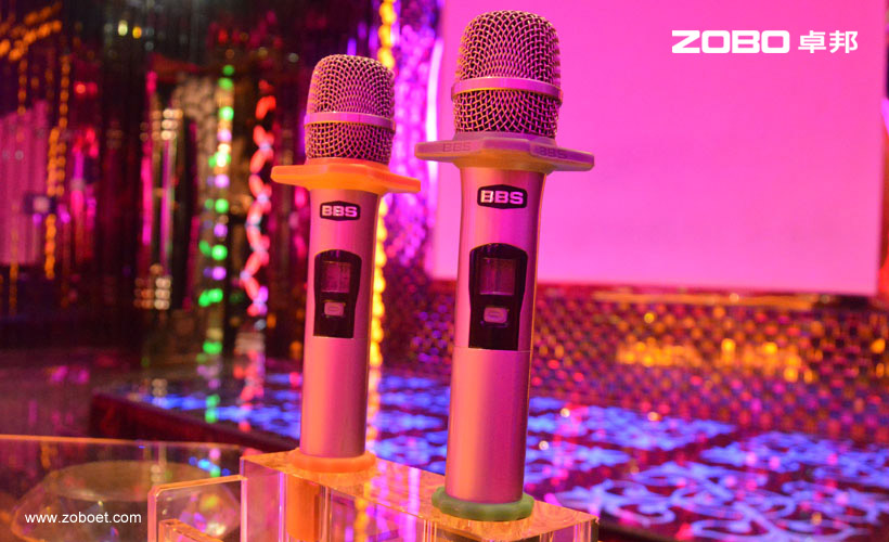 金麟世紀(jì)娛樂音頻擴(kuò)聲系統(tǒng)