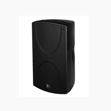 S1200B 雙12英寸低頻揚(yáng)聲器系統(tǒng)