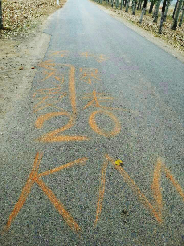 以愛之名，貼地疾行