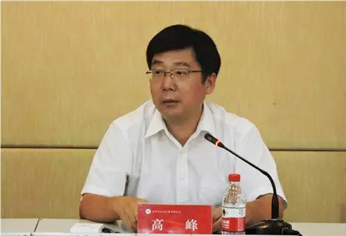 高峰副區(qū)長(zhǎng)講話(huà)