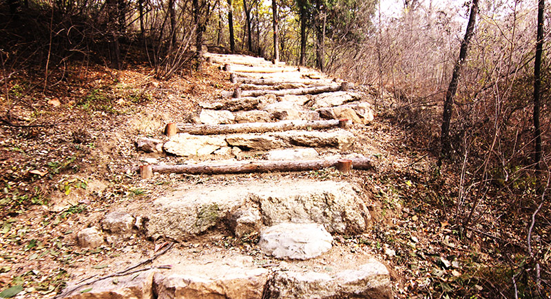 以愛之名，貼地疾行